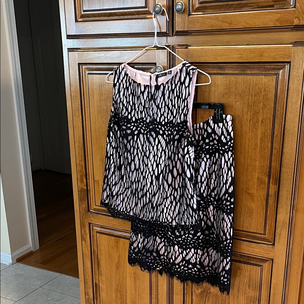 Carlisle Pink and Black Lace Dress
